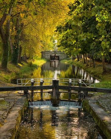 The Heart Of Dublin 4