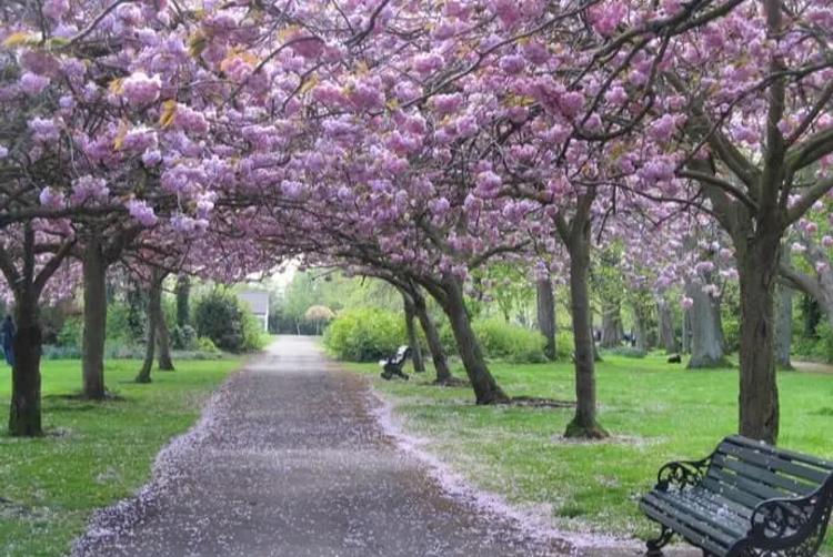 Grand Canal Hotel | Dublin 4 | 7