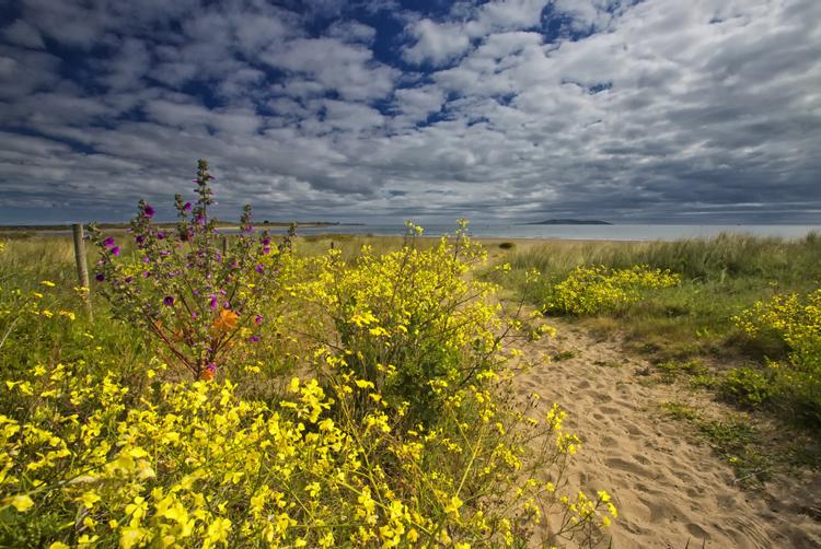 Grand Canal Hotel | Dublin 4 | 5